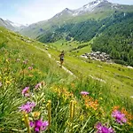 Вилла Loppe - Mountain Four-bedroom Hidden Gem Шамони