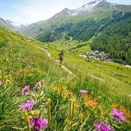 Villa Loppe Chamonix